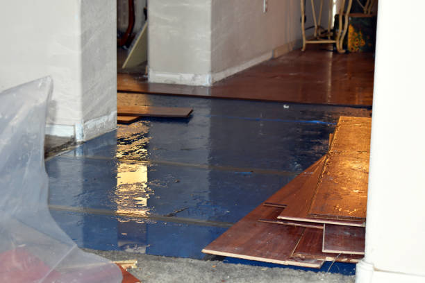 Professional Burst Pipe Cleanup technician working in Oregonia, OH